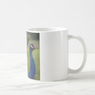 Pfauen-Foto Klassischer Weißer Becher Kaffeetasse