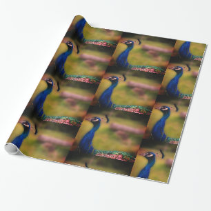 Pfauen-Foto-Mattverpackungspapier Geschenkpapier