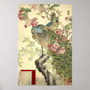 Pfauen & Holzapfel Vintage Japanisch Poster
