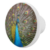 Pfauen Kunst Jewel Tone Farben Keramikknauf (Rechts)