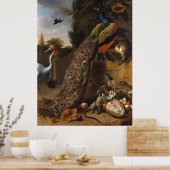 Pfauen - Melchior d'Hondecoeter Poster (Küche)