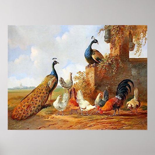 Pfauen und Hühnerposter Poster (Vorne)