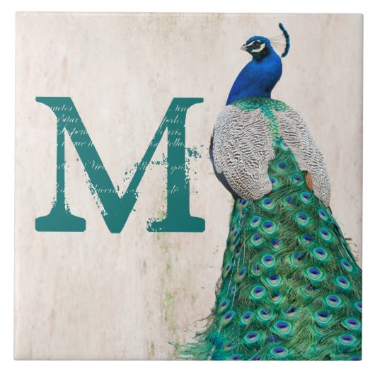 Pfauen-Vogel-Feder-Blau Monogramm-Display-Tafel Fliese (Vorderseite)