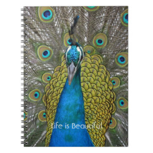 Pfauen-Vogel Kauai (meine Fotografie) Notizblock