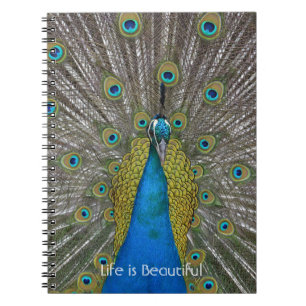 Pfauen-Vogel Kauai (meine Fotografie) Notizblock