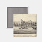 Pfauen, Willow Glen Magnet (Vorderseite/Rückseite)