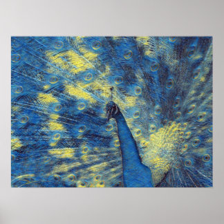 Pfauenarbeit in Van Gogh Starry Night Colors Poster