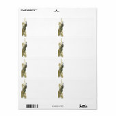 Pfauenaufkleber (Vorne)