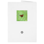 Pfauenauge Schmetterling (Hinten)