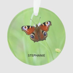 Pfauenauge Schmetterling Ornament