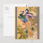 Pfauenaugenfleck Postkarte (Vorne/Hinten)