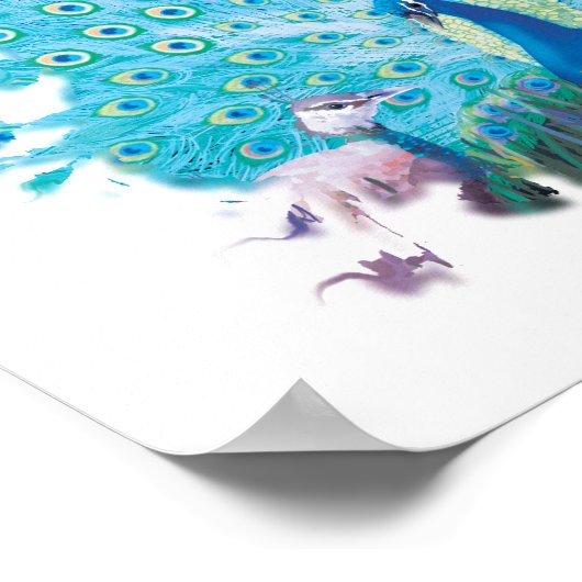 Pfauenbrand Poster (Ecke)