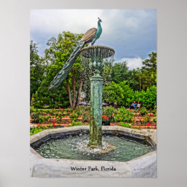 Pfauenbrunnen & Rose Garden im Winter Park FL Poster