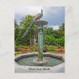 Pfauenbrunnen & Rose Garden im Winter Park FL Postkarte
