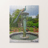 Pfauenbrunnen & Rose Garden im Winter Park FL Puzzle (Vertikal)