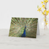 Pfauendarstellung Karte (Gelbe Blume)
