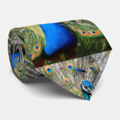 Pfauendarstellung Krawatte (Gerollt)
