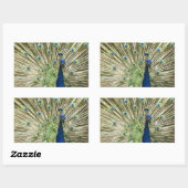 Pfauendarstellung Rechteckiger Aufkleber (Blatt)