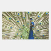 Pfauendarstellung Rechteckiger Aufkleber (Vorderseite)