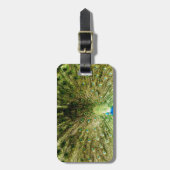 Pfauendarstellungsfarben Gepäckanhänger (Vorderseite vertikal)