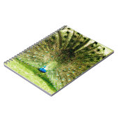 Pfauendarstellungsfarben Notizblock (Linke Seite)