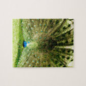 Pfauendarstellungsfarben Puzzle (Horizontal)