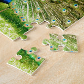 Pfauendarstellungsfarben Puzzle (Seite)