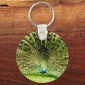 Pfauendarstellungsfarben Schlüsselanhänger (Vorderseite)