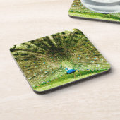 Pfauendarstellungsfarben Untersetzer (Linke Seite)