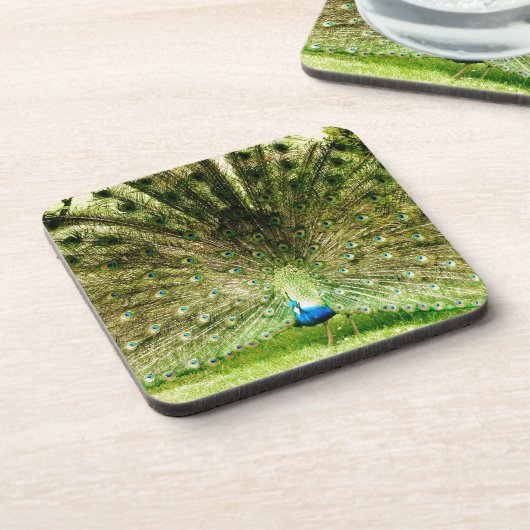 Pfauendarstellungsfarben Untersetzer (Linke Seite)