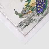 Pfauendekutationspapier Seidenpapier (Ausschnitt)
