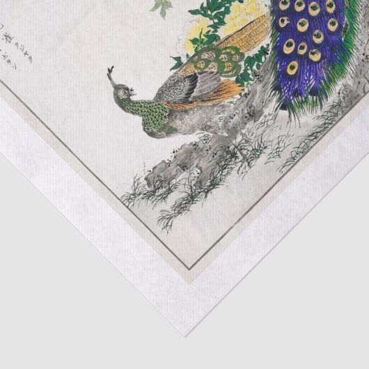 Pfauendekutationspapier Seidenpapier (Ausschnitt)