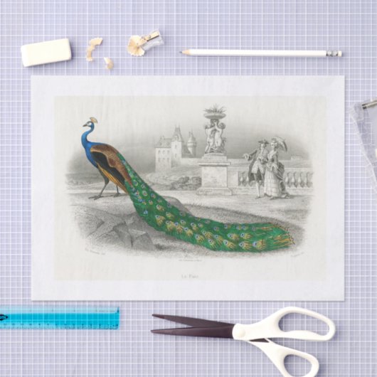 Pfauendekutationspapier Seidenpapier (Handwerk)