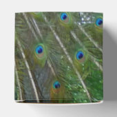 Pfauendesign-Party Geschenkschachtel (Oben)