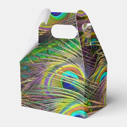 PfauenFeathers 5 Geschenkschachtel (Rückseite)