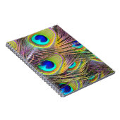 Pfauenfeathers 5 Notebooks Notizblock (Rechte Seite)