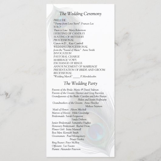 Pfauenfeathers auf dem Programm für Schwarze Hochz (Rückseite)