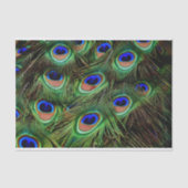 Pfauenfeathers Dekoupage Tissue Paper Seidenpapier (Vorderseite)