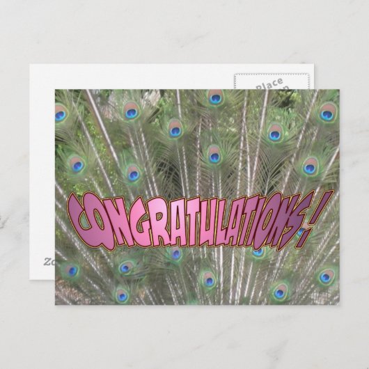 Pfauenfeathers Herzlichen Glückwunsch Postkarte Ro (Vorne/Hinten)