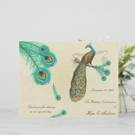 Pfauenfeathers Hochzeitsprogramm 2 (Stehend Vorderseite)