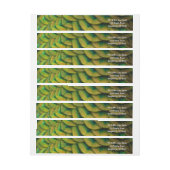 Pfauenfeathers II Farbenfrohe Natur (Bogen)