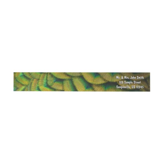 Pfauenfeathers II Farbenfrohe Natur (Person)