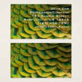 Pfauenfeathers II Farbenfrohe Natur (Vorne & Hinten)