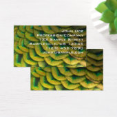 Pfauenfeathers II Farbenfrohe Natur (Schreibtisch)