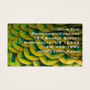 Pfauenfeathers II Farbenfrohe Natur