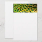 Pfauenfeathers II Farbenfrohe Natur Briefpapier (Vorne/Hinten)