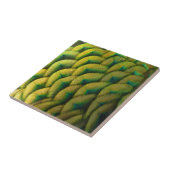 Pfauenfeathers II Farbenfrohe Natur Fliese (Seite)