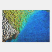 Pfauenfeathers II Farbenfrohe Natur Geschenkpapier Set (Vorderseite 2)