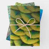 Pfauenfeathers II Farbenfrohe Natur Geschenkpapier Set (Beispiel)