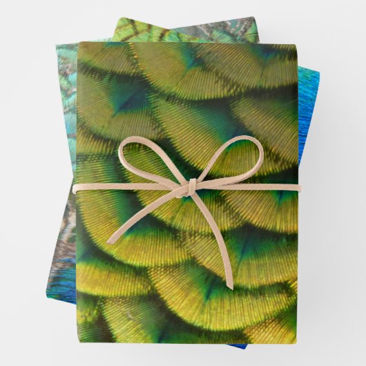 Pfauenfeathers II Farbenfrohe Natur Geschenkpapier Set (Beispiel)